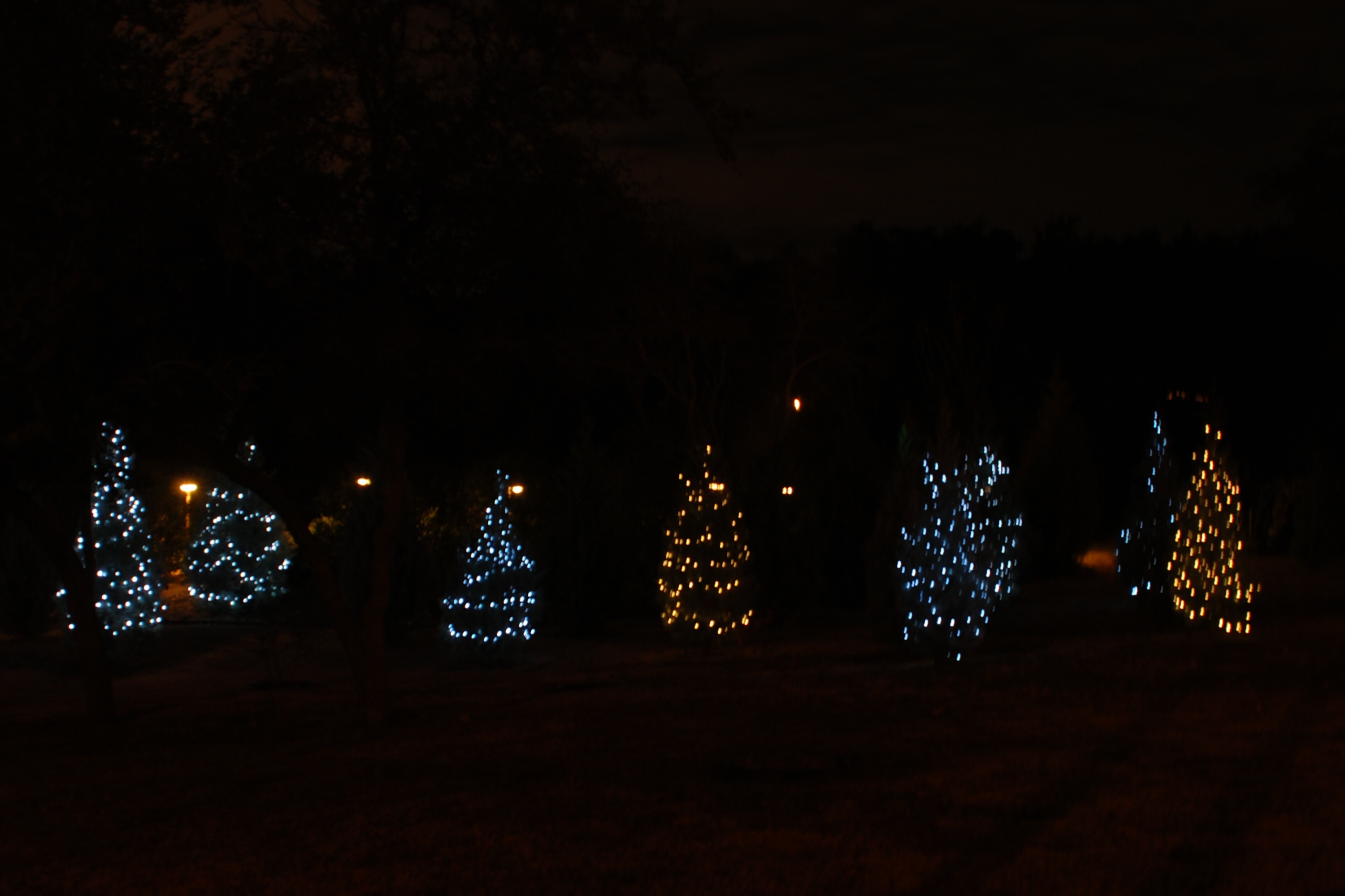 2013-12-14 21-16-26 Christmas Decor.jpg